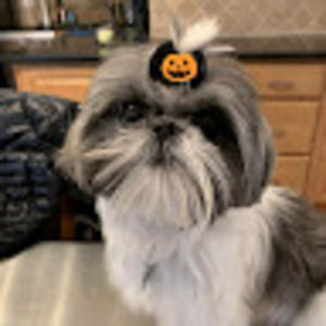 Meet your Posher, Kristin